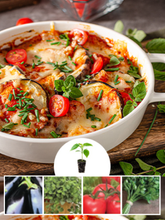 Italian Vegetable & Herb Kit with Eggplant, Tomato, Parsley & Oregano