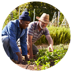 Two Men Gardening Outdoors, One Man Teaching the Other Something