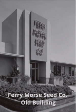 Photo of the old Ferry Morse Seed Co Building in black and white.
