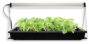 Ferry-Morse Grow Light 