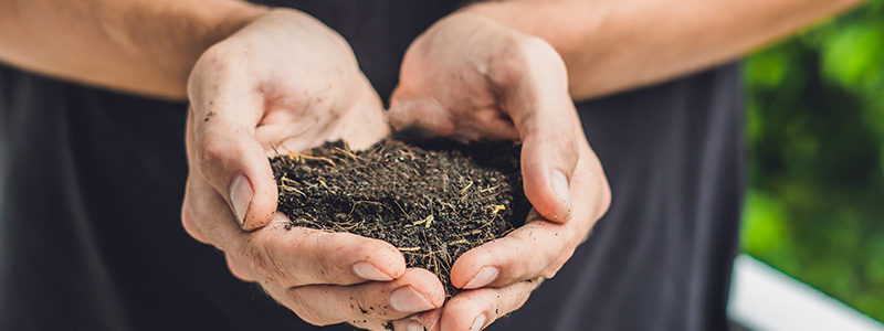 A gardener cupping a fresh soil sample in their hands.