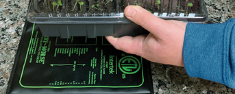 Gardener removing their seed starting greenhouse from the Ferry-Morse heat mat because their seeds have germinated and begun sprouting.