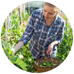 White woman harvesting some produce from the garden.