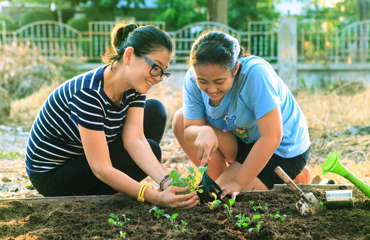 Two ladies planting seedlings